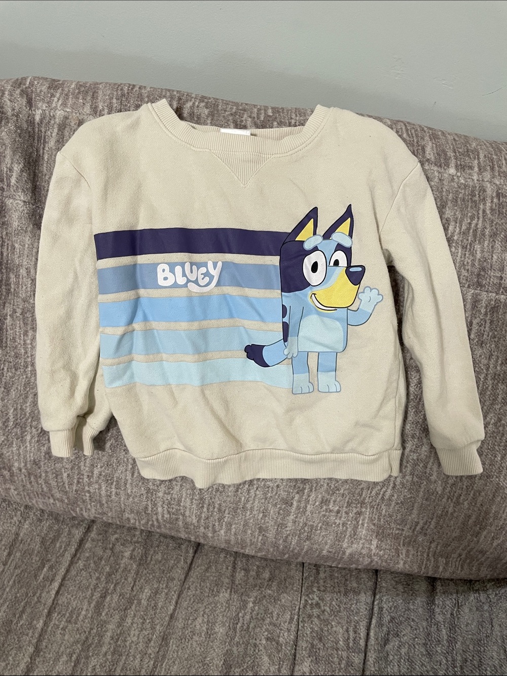 Bluey sweatshirt
